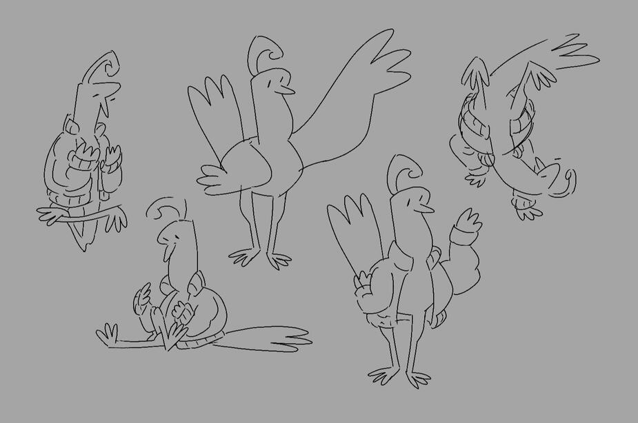 Curly Exploration Sketches